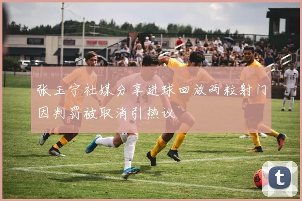 张玉宁社媒分享进球回放两粒射门因判罚被取消引热议