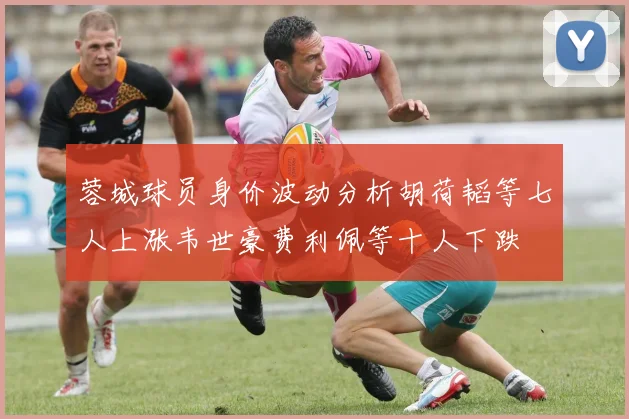 蓉城球员身价波动分析胡荷韬等七人上涨韦世豪费利佩等十人下跌