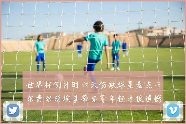 世界杯倒计时六天伤缺球星盘点卡尔费尔明埃基蒂克等年轻才俊遗憾缺席